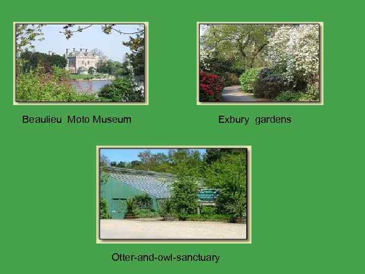 Beaulieu Moto Museum Exbury gardens Otter-and-owl-sanctuary 