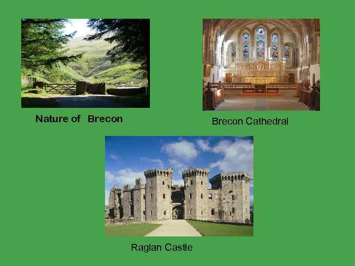 Nature of Brecon Cathedral Raglan Castle 