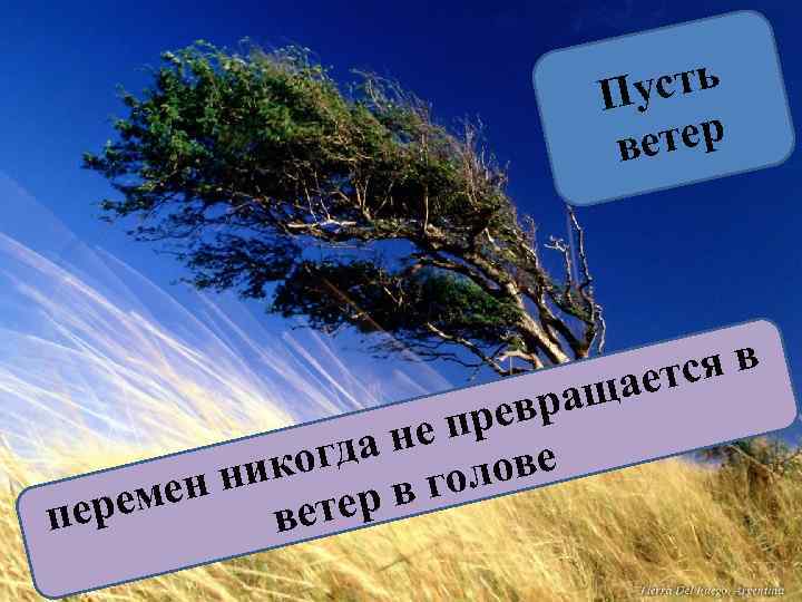 сть Пу етер в вращ пре а не когд голове н ни еме ер