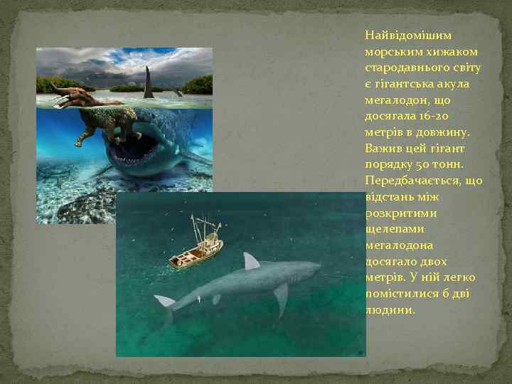 Найвідомішим морським хижаком стародавнього світу є гігантська акула мегалодон, що досягала 16 -20 метрів