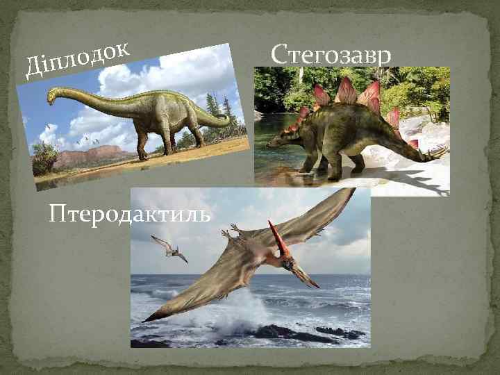 одок Діпл Птеродактиль Стегозавр 