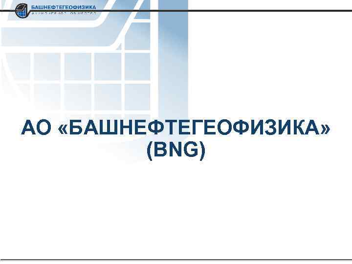 АО «БАШНЕФТЕГЕОФИЗИКА» (BNG) 