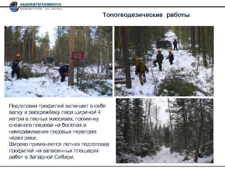 Топогеодезические работы Подготовка профилей включает в себя валку и раскряжёвку леса шириной 4 метра