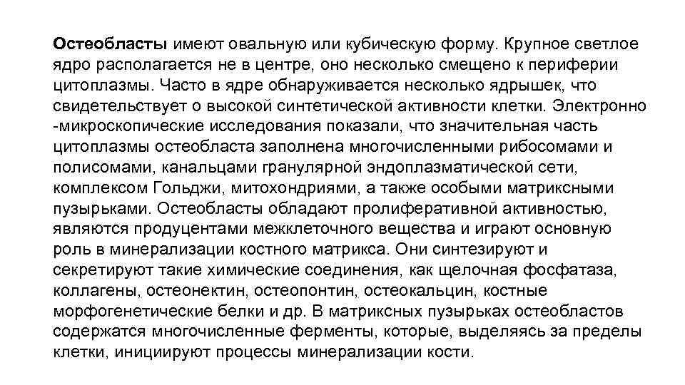 Остеобласты имеют овальную или кубическую форму. Крупное светлое ядро располагается не в центре, оно