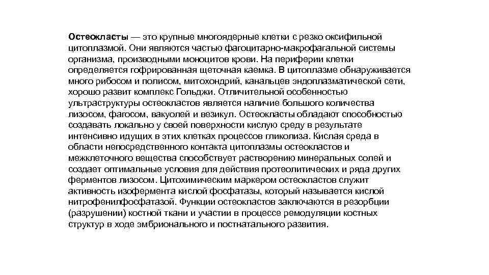Остеокласты — это крупные многоядерные клетки с резко оксифильной цитоплазмой. Они являются частью фагоцитарно-макрофагальной