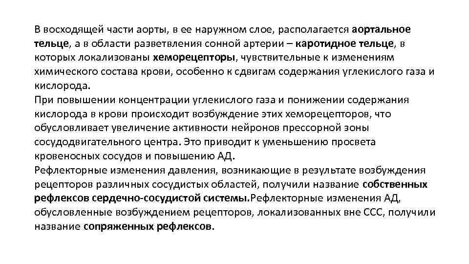 В восходящей части аорты, в ее наружном слое, располагается аортальное тельце, а в области