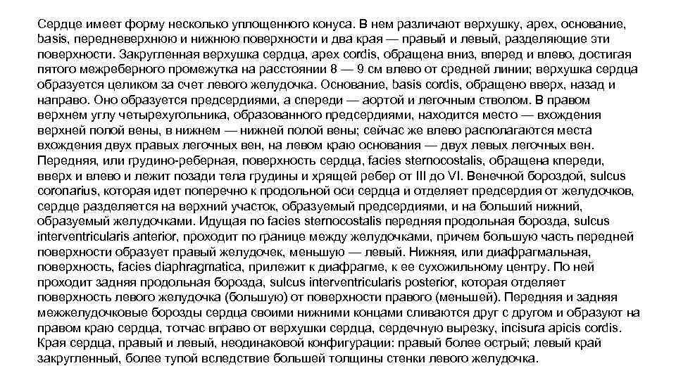 Сердце имеет форму несколько уплощенного конуса. В нем различают верхушку, apex, основание, basis, передневерхнюю