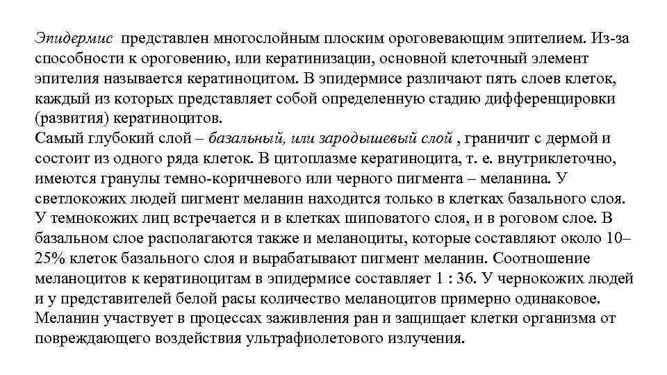 Эпидермис представлен многослойным плоским ороговевающим эпителием. Из‑за способности к ороговению, или кератинизации, основной клеточный