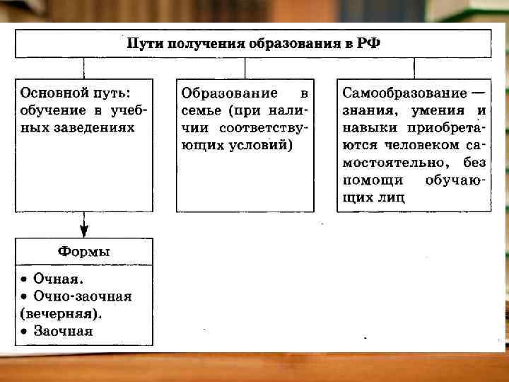 План образование в рф обществознание егэ