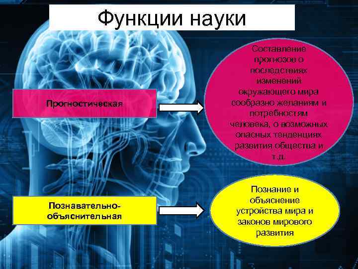 Прогностическая функция картинки