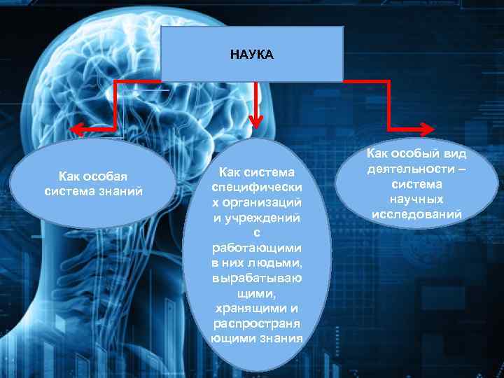 Наука это система знаний. Наука как система. Наука как особая система знаний. Наука как система научных знаний.