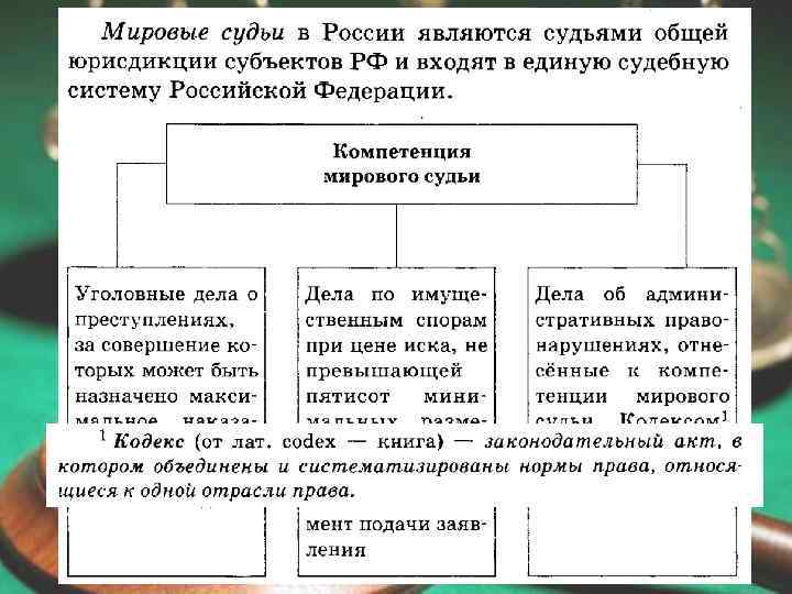 Кто стоит на страже закона проект 7 класс