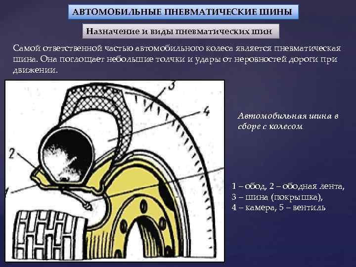 АВТОМОБИЛЬНЫЕ ПНЕВМАТИЧЕСКИЕ ШИНЫ Назначение и виды пневматических шин Самой ответственной частью автомобильного колеса является