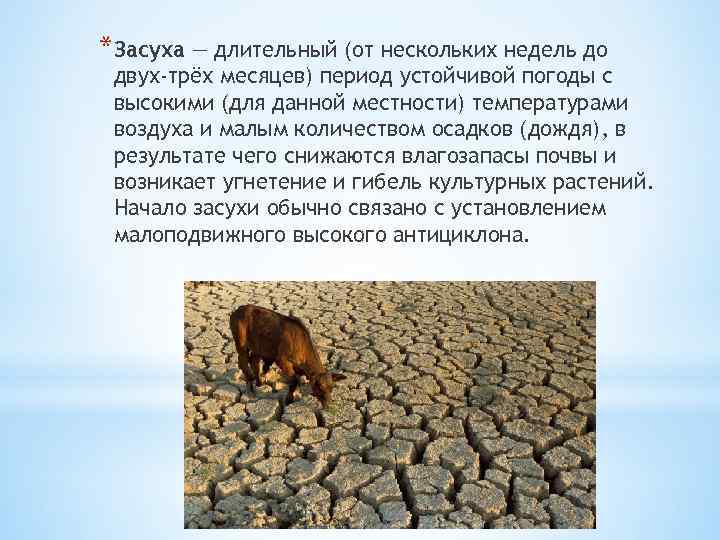 *Засуха — длительный (от нескольких недель до двух-трёх месяцев) период устойчивой погоды с высокими