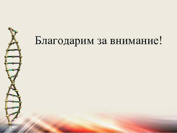  Благодарим за внимание! 