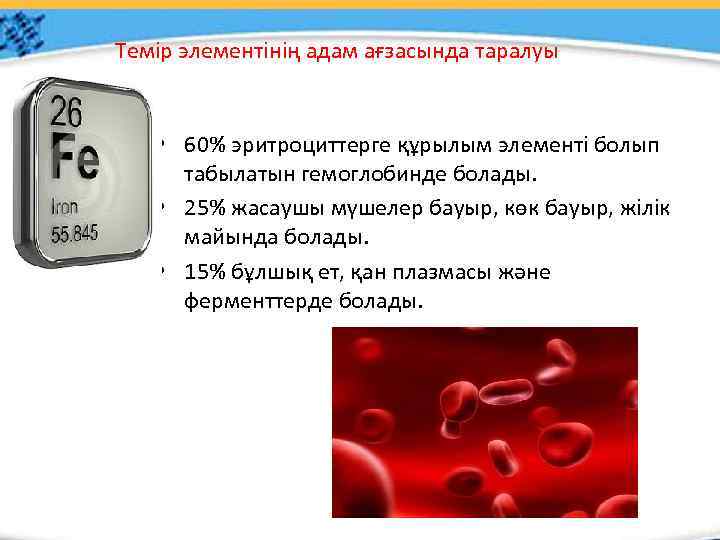 Темір элементінің адам ағзасында таралуы • 60% эритроциттерге құрылым элементі болып табылатын гемоглобинде болады.
