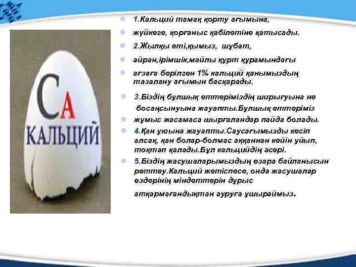 l 1. Кальций тамақ қорту ағымына, l жүйкеге, қорғаныс қабілетіне қатысады. l 2. Жылқы