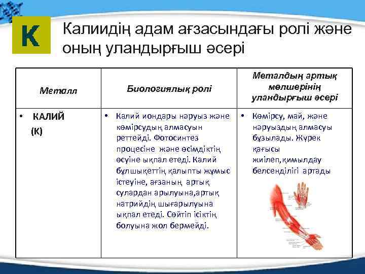 Калиидің адам ағзасындағы ролі және оның уландырғыш әсері Металл • КАЛИЙ (K) Биологиялық ролі
