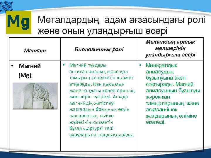 Металдардың адам ағзасындағы ролі және оның уландырғыш әсері Металл • Магний (Mg) Биологиялық ролі