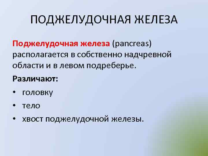 ПОДЖЕЛУДОЧНАЯ ЖЕЛЕЗА Поджелудочная железа (pancreas) располагается в собственно надчревной области и в левом подреберье.