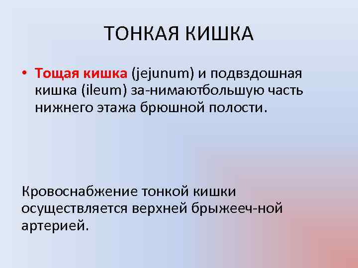 ТОНКАЯ КИШКА • Тощая кишка (jejunum) и подвздошная кишка (ileum) за нимают ольшую часть