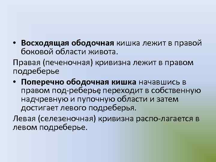  • Восходящая ободочная кишка лежит в правой боковой области живота. Правая (печеночная) кривизна