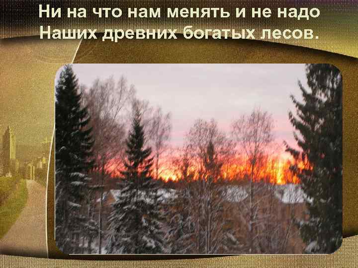 Ни на что нам менять и не надо Наших древних богатых лесов. 