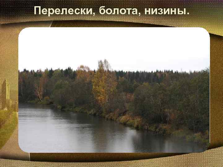 Перелески, болота, низины. 