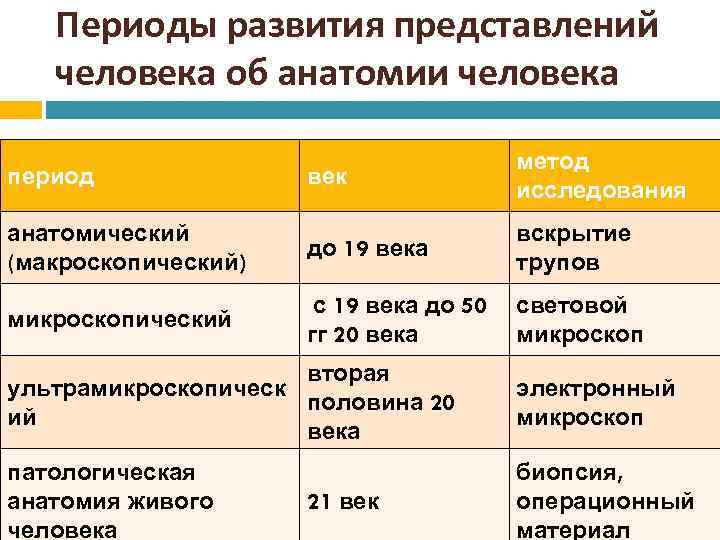 Периоды развития представлений человека об анатомии человека период век метод исследования анатомический (макроскопический) до