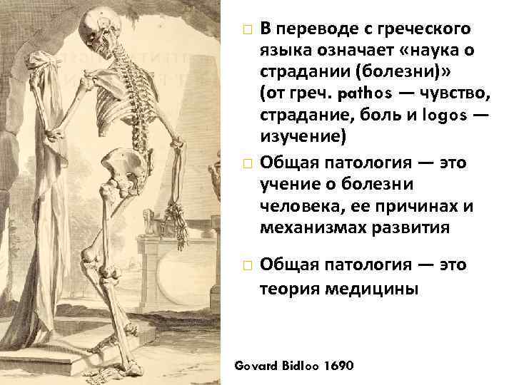 В переводе с древнегреческого означает