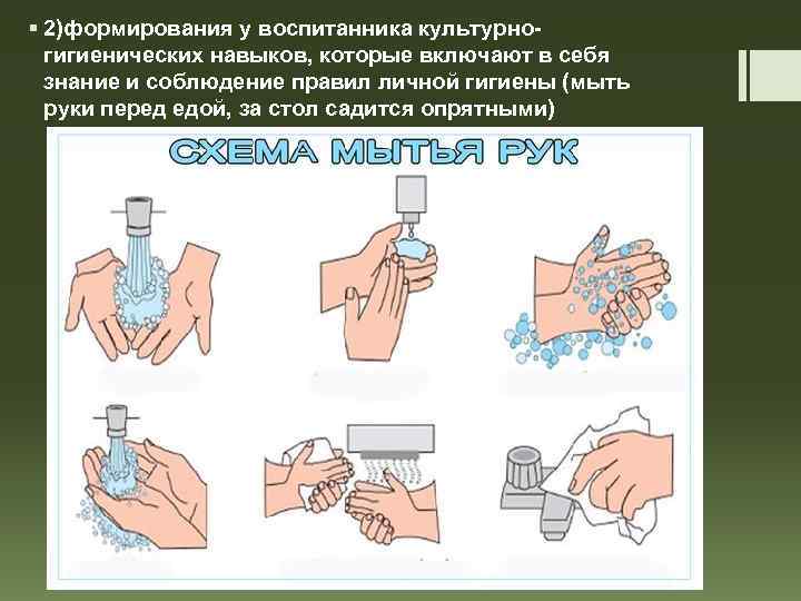 § 2)формирования у воспитанника культурногигиенических навыков, которые включают в себя знание и соблюдение правил