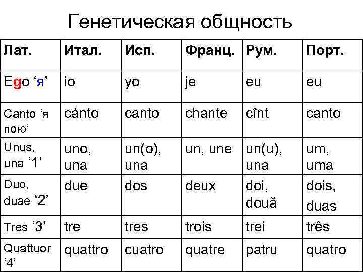 Генетическая общность Лат. Итал. Исп. Франц. Рум. Порт. Ego ‘я’ io yo je eu