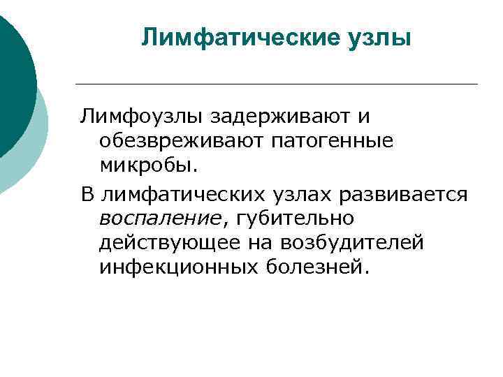 Лимфатические узлы Лимфоузлы задерживают и обезвреживают патогенные микробы. В лимфатических узлах развивается воспаление, губительно