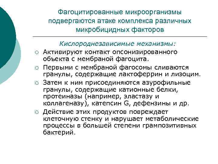Фагоцитированные микроорганизмы подвергаются атаке комплекса различных микробицидных факторов ¡ ¡ Кислороднезависимые механизмы: Активируют контакт