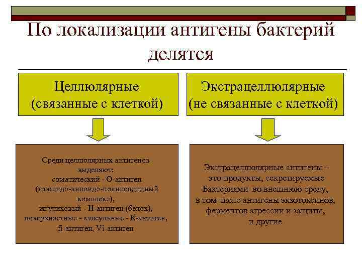 По локализации антигены бактерий делятся Целлюлярные (связанные с клеткой) Экстрацеллюлярные (не связанные с клеткой)