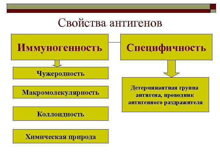 Свойства антигенов Иммуногенность Специфичность Чужеродность Макромолекулярность Коллоидность Химическая природа Детерминантная группа антигена, проводник антигенного