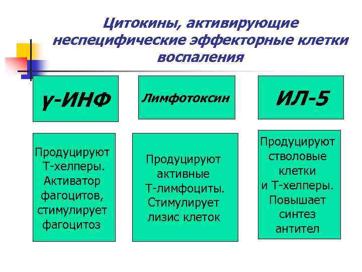 Цитокины, активирующие неспецифические эффекторные клетки воспаления γ-ИНФ Продуцируют Т-хелперы. Активатор фагоцитов, стимулирует фагоцитоз Лимфотоксин