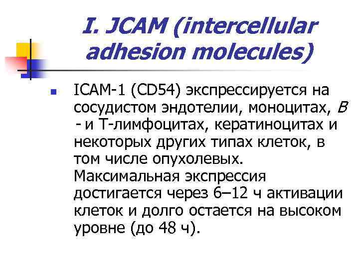 I. JCAM (intercellular adhesion molecules) n ICAM-1 (CD 54) экспрессируется на сосудистом эндотелии, моноцитах,