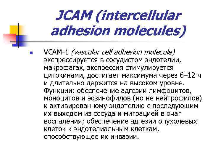 JCAM (intercellular adhesion molecules) n VCAM-1 (vascular cell adhesion molecule) экспрессируется в сосудистом эндотелии,