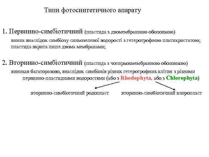 Типи фотосинтетичного апарату 1. Первинно-симбіотичний (пластида з двомембранною оболонкою) виник внаслідок симбіозу синьозеленої водорості