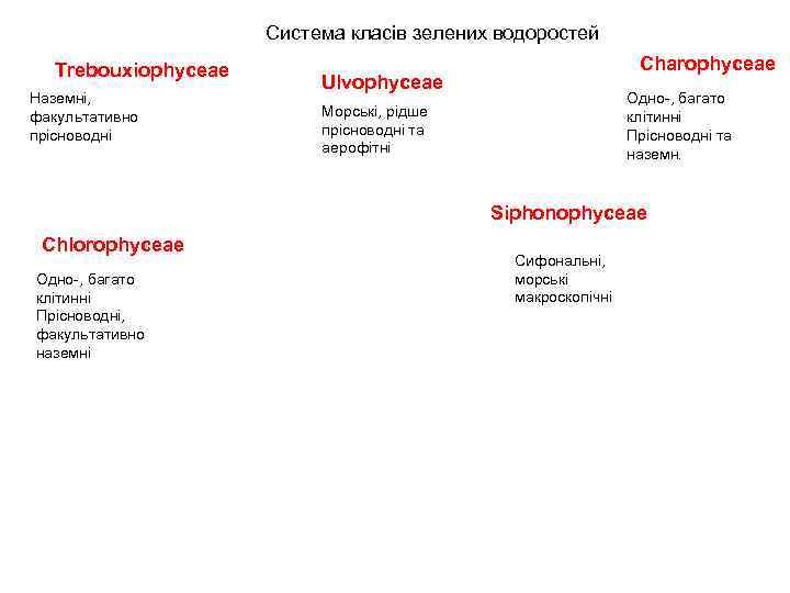 Система класів зелених водоростей Trebouxiophyceae Наземні, факультативно прісноводні Charophyceae Ulvophyceae Одно , багато клітинні