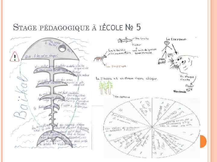 STAGE PÉDAGOGIQUE À LÉCOLE № 5 ’ 