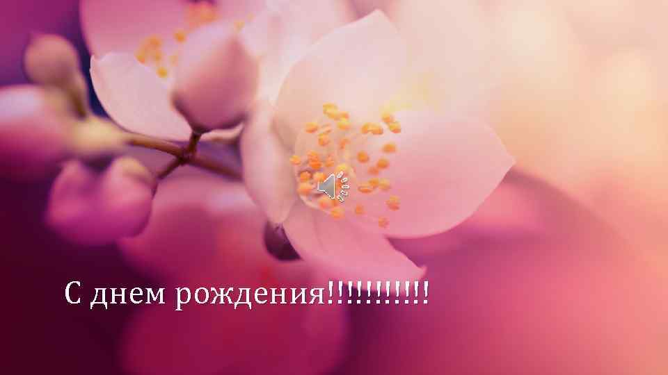 С днем рождения!!!!!! 