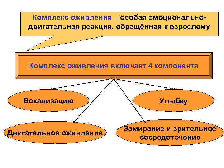 Комплекс оживления – особая эмоциональнодвигательная реакция, обращённая к взрослому Комплекс оживления включает 4 компонента