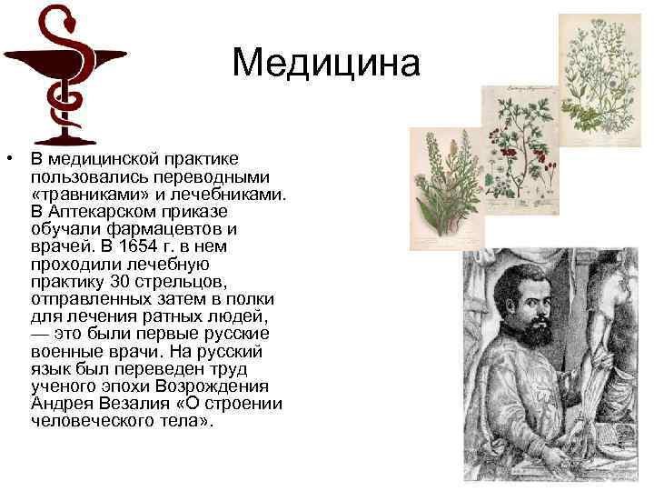 Медицина • В медицинской практике пользовались переводными «травниками» и лечебниками. В Аптекарском приказе обучали