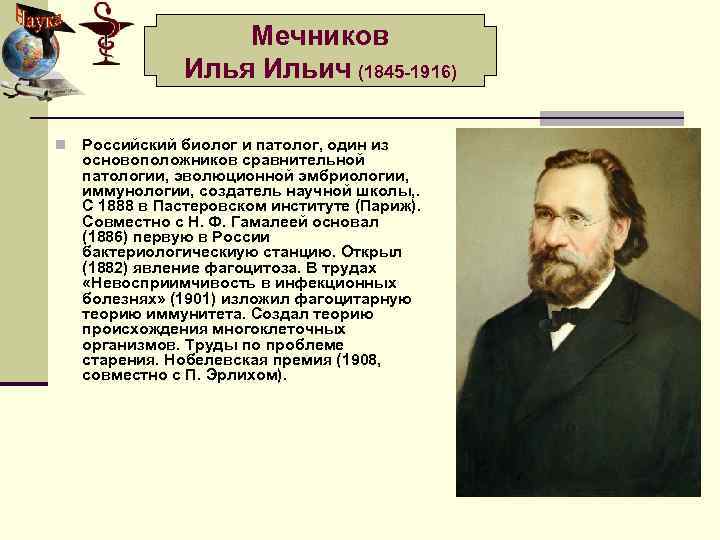 Мечников Илья Ильич (1845 -1916) n Российский биолог и патолог, один из основоположников сравнительной