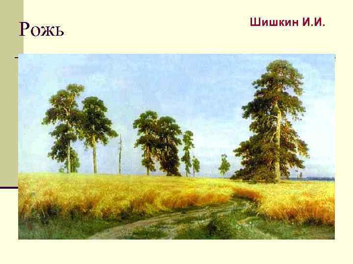 Рожь Шишкин И. И. 