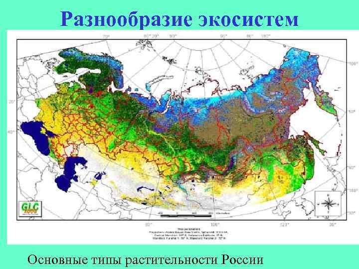 Карта растительности рф