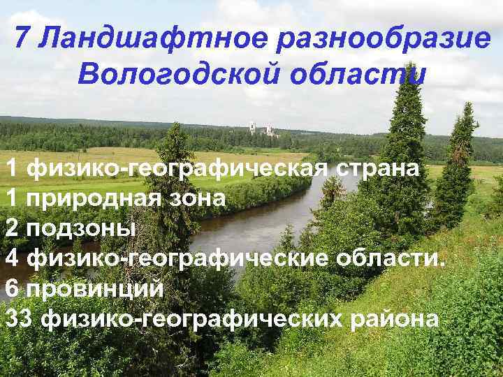 7 Ландшафтное разнообразие Вологодской области 1 физико-географическая страна 1 природная зона 2 подзоны 4