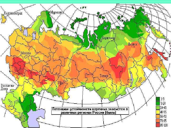 Карта экосистем россии